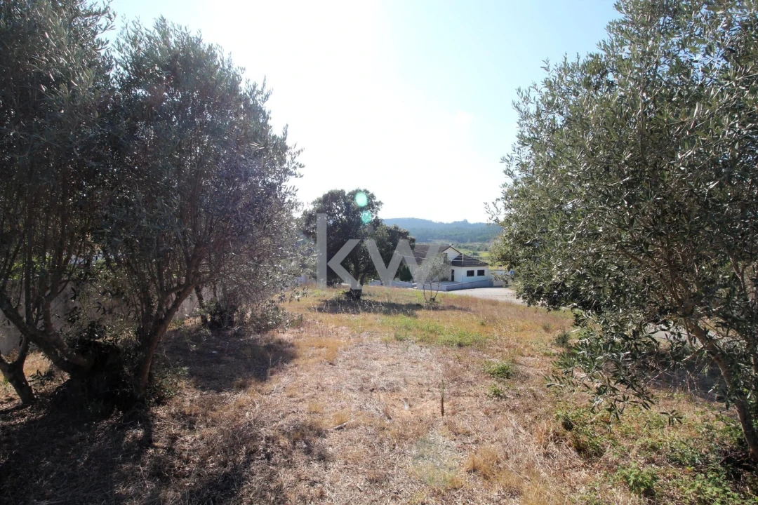 Terreno para Venda em Soure Foto 9