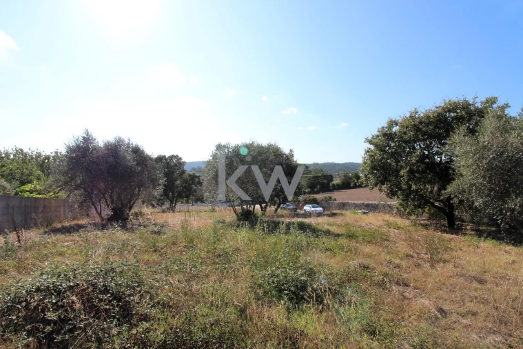 Terreno para Venda em Soure Foto 11