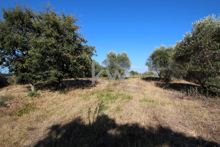 Terreno para Venda em Soure Foto 8