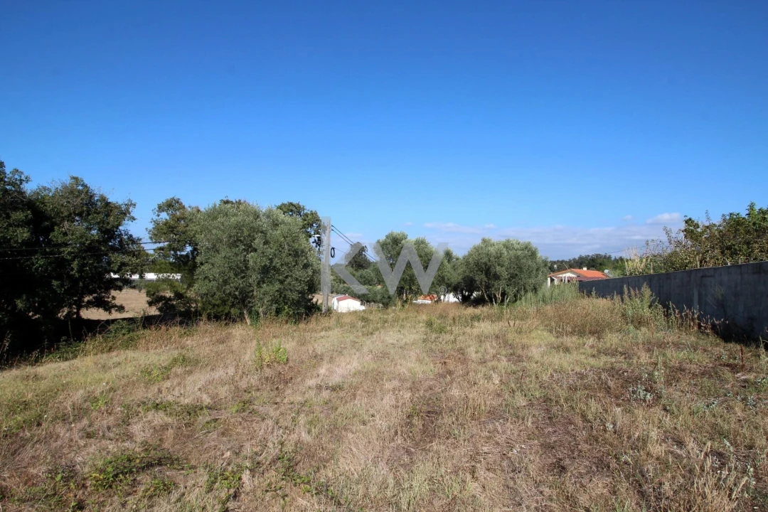 Terreno para Venda em Soure Foto 10