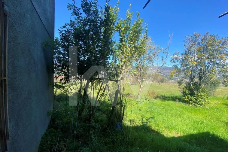 Moradia T3 para Venda em Freigil e Miomães Foto 48