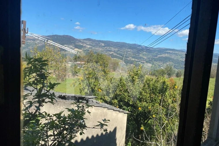 Moradia T3 para Venda em Freigil e Miomães Foto 3