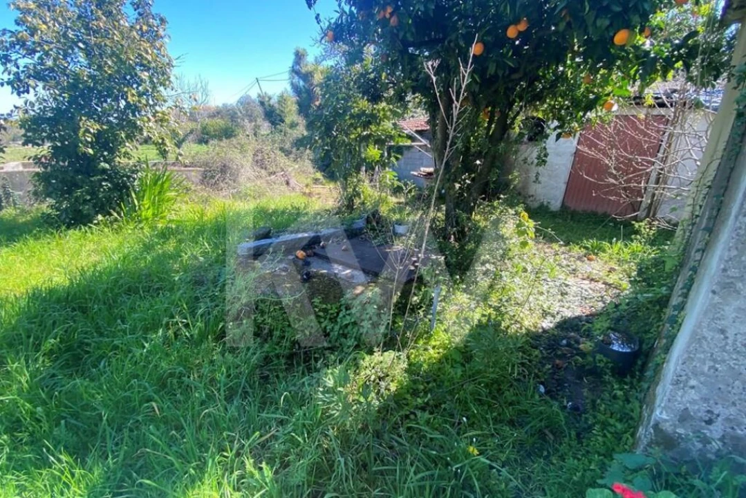 Moradia T3 para Venda em Freigil e Miomães Foto 50