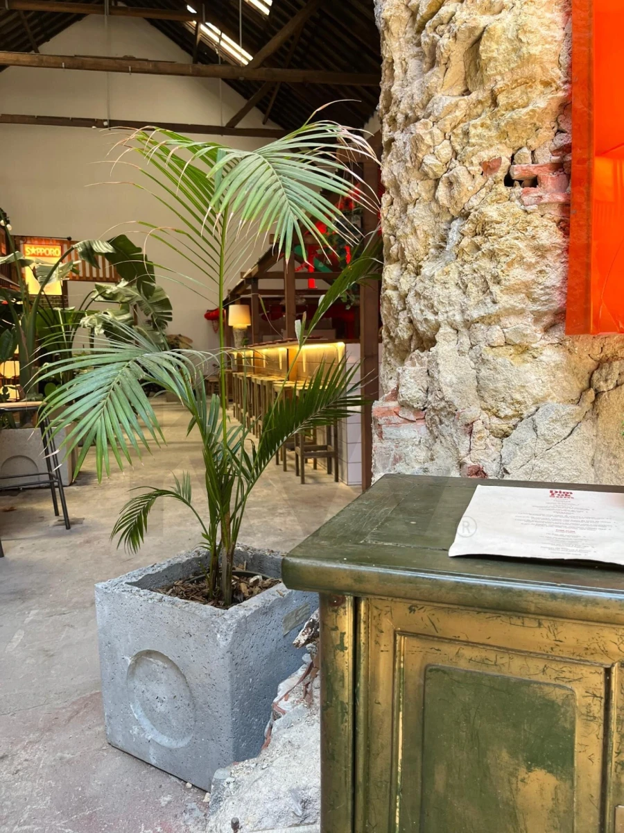 Negócio para Trespasse em Marvila Foto 5