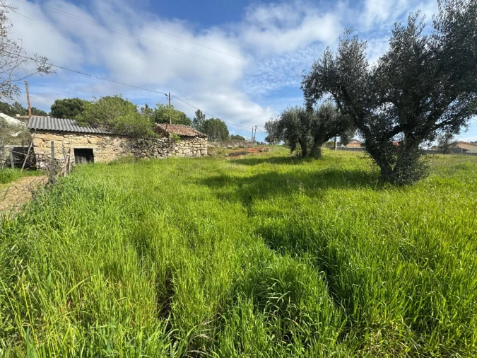 Terreno para Venda em Cunha Baixa