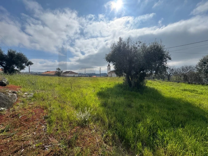 Terreno para Venda em Cunha Baixa Foto 4