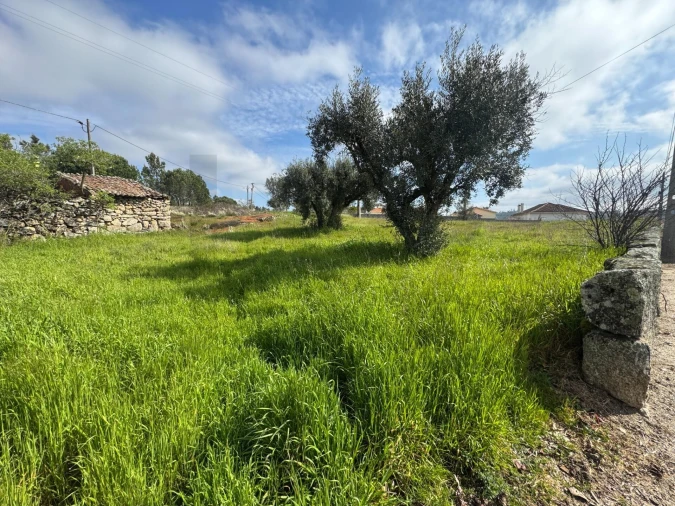 Terreno para Venda em Cunha Baixa Foto 2