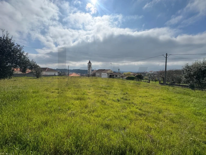 Terreno para Venda em Cunha Baixa Foto 5