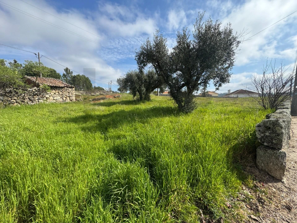 Terreno para Venda em Cunha Baixa Foto 2