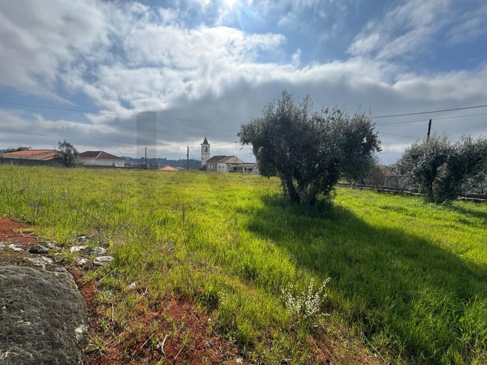Terreno para Venda em Cunha Baixa Foto 3