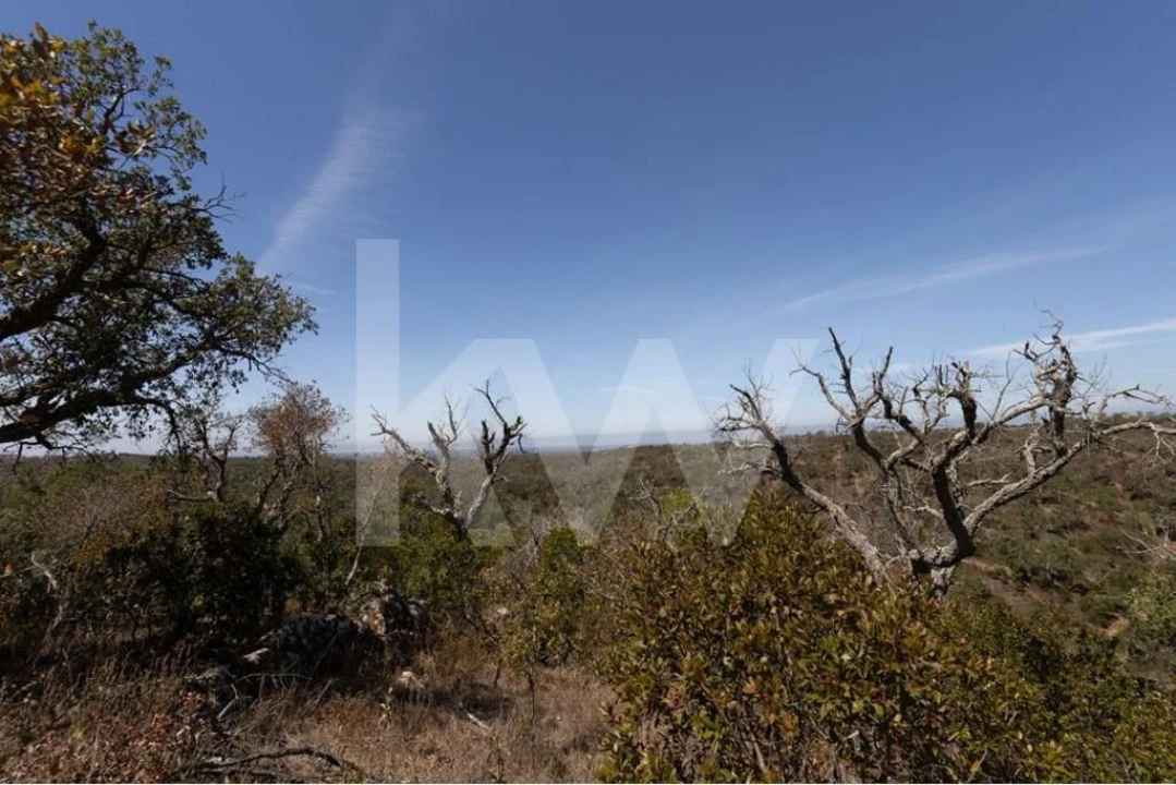 Terreno para Venda em São Francisco da Serra Foto 7