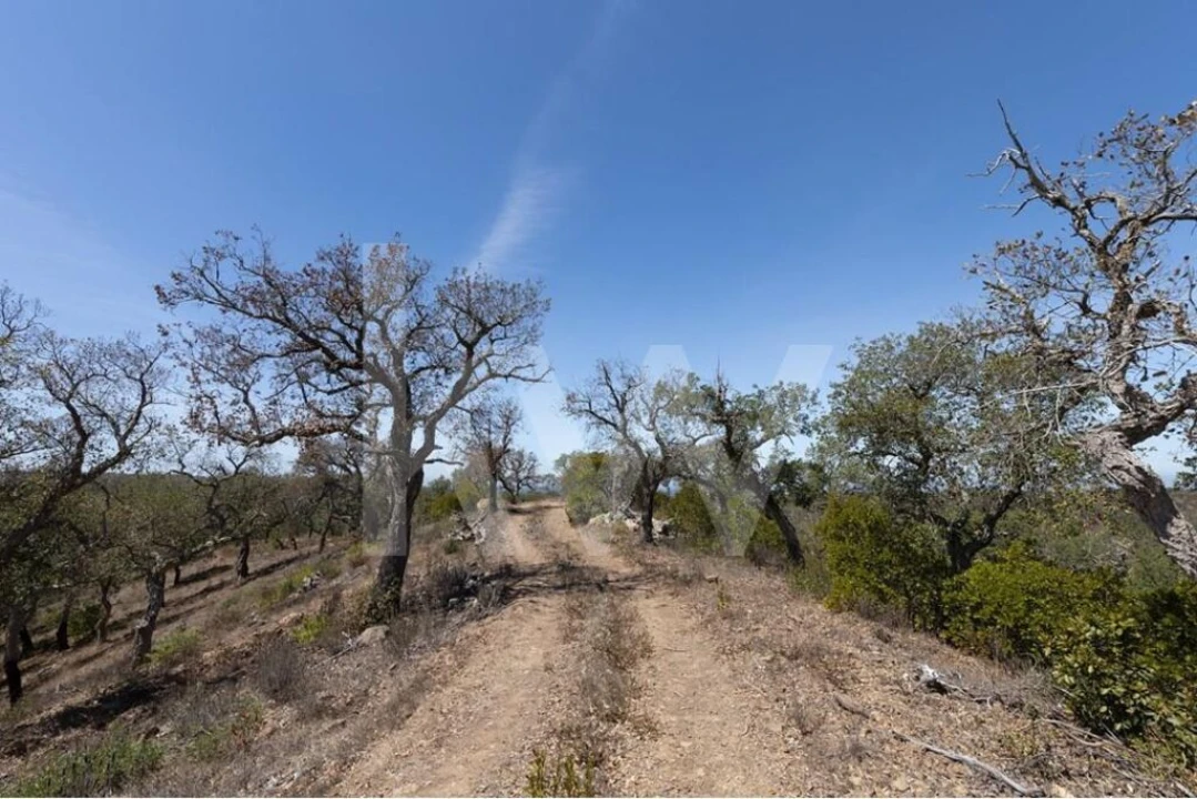 Terreno para Venda em São Francisco da Serra Foto 6