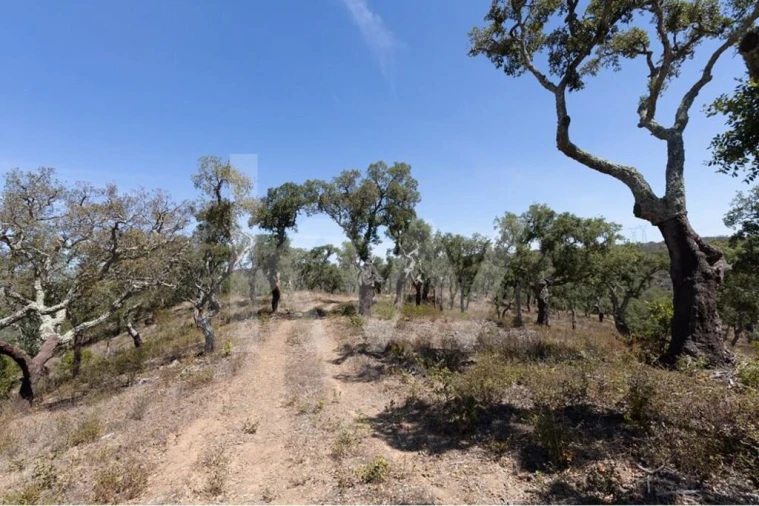 Terreno para Venda em São Francisco da Serra Foto 9