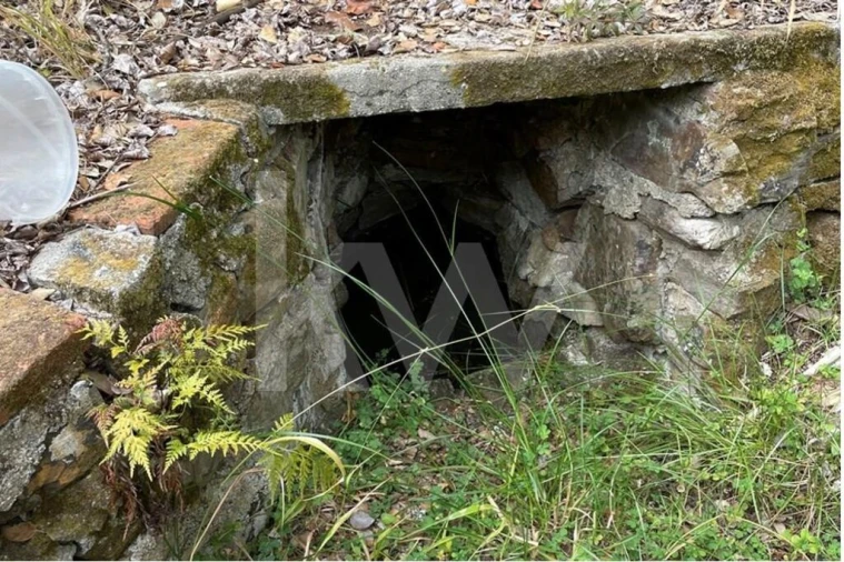 Terreno para Venda em São Francisco da Serra Foto 21