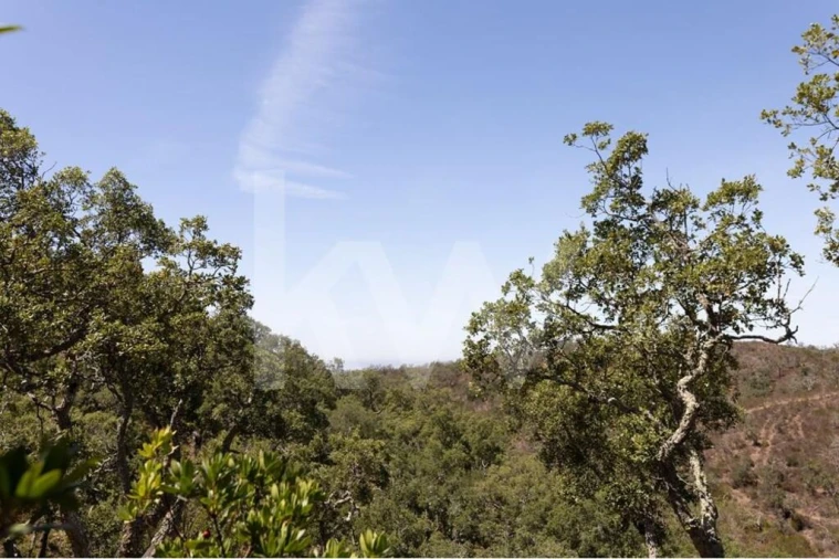 Terreno para Venda em São Francisco da Serra