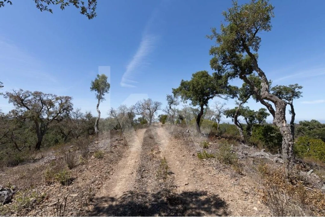 Terreno para Venda em São Francisco da Serra Foto 5