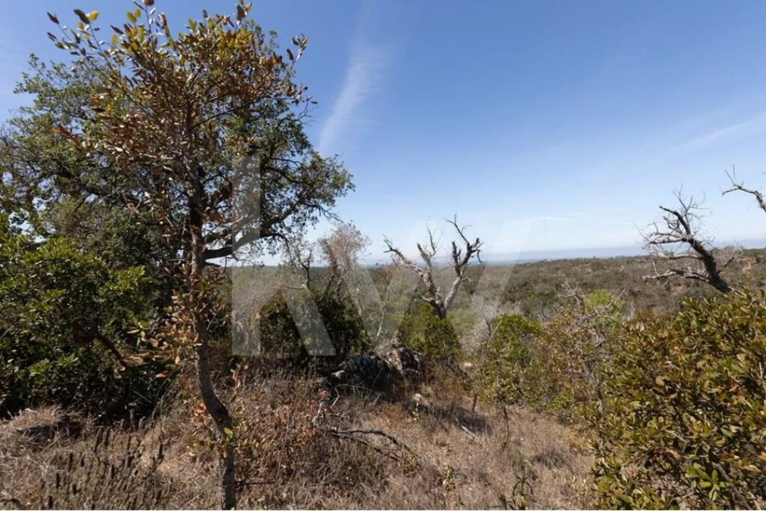 Terreno para Venda em São Francisco da Serra Foto 8