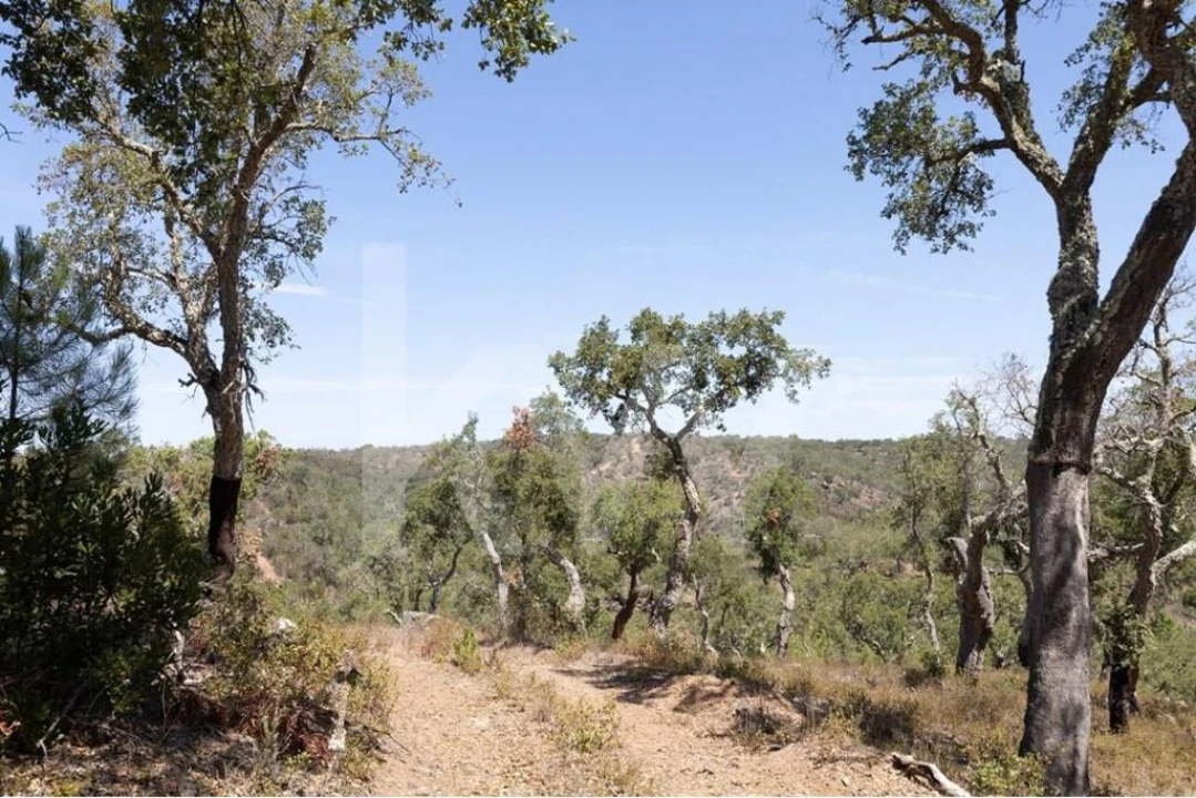 Terreno para Venda em São Francisco da Serra Foto 17
