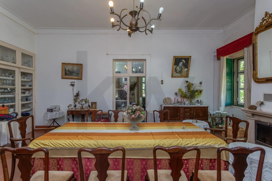 Quinta T12 para Venda em São Bras e São Lourenço Foto 57