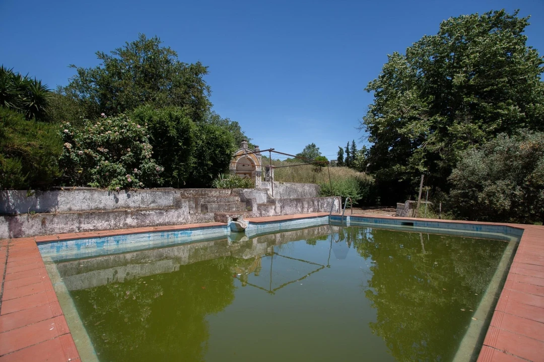 Quinta T12 para Venda em São Bras e São Lourenço Foto 73