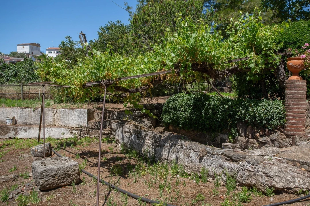 Quinta T12 para Venda em São Bras e São Lourenço Foto 61