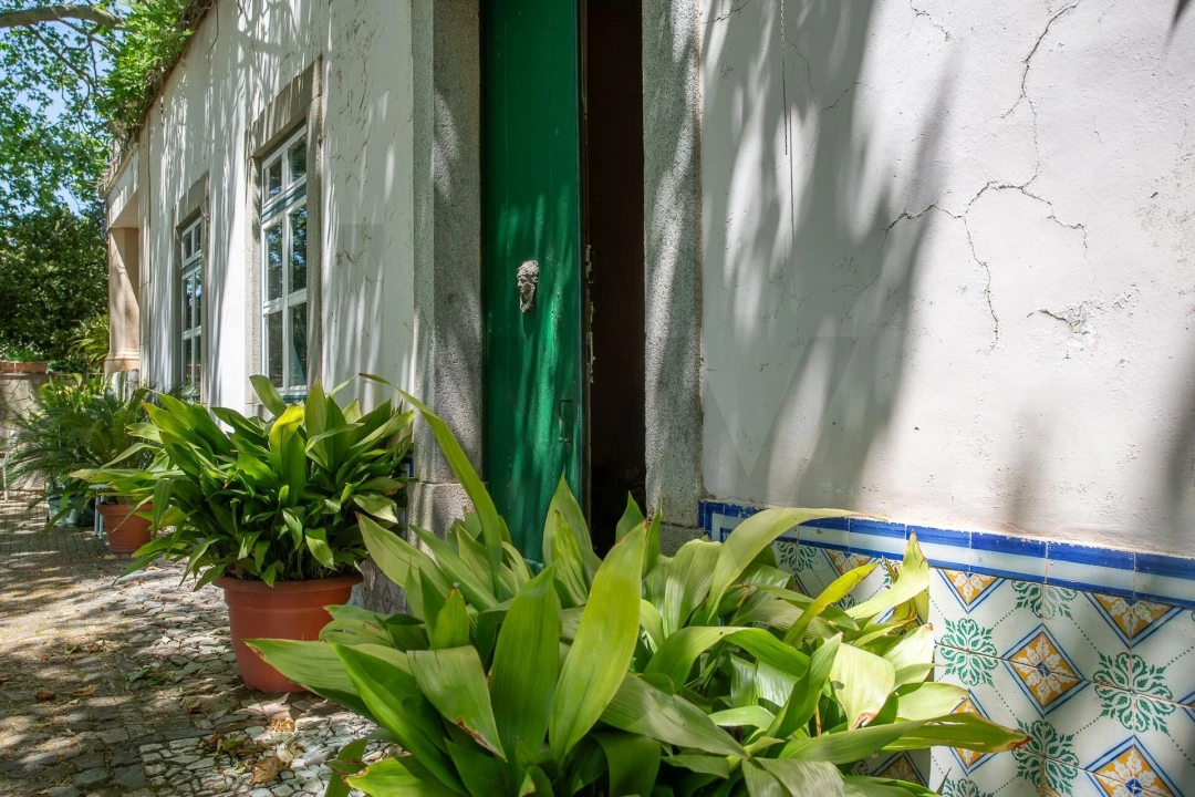 Quinta T12 para Venda em São Bras e São Lourenço Foto 65