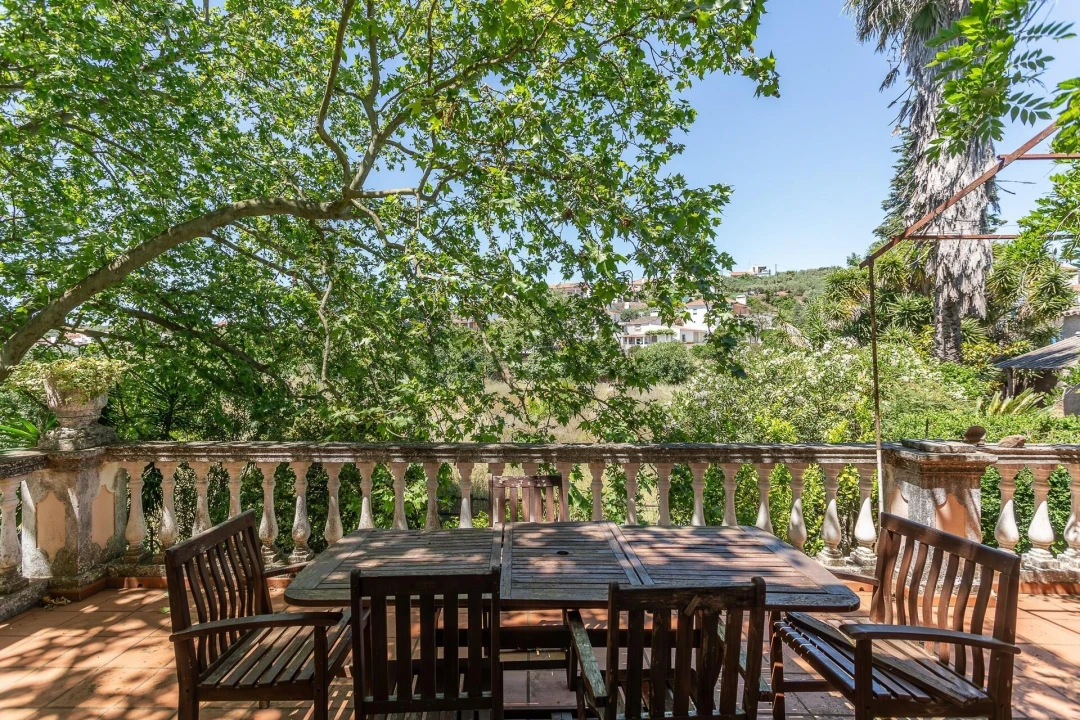 Quinta T12 para Venda em São Bras e São Lourenço Foto 9