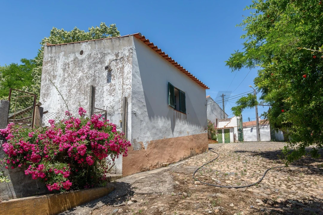 Quinta T12 para Venda em São Bras e São Lourenço Foto 88