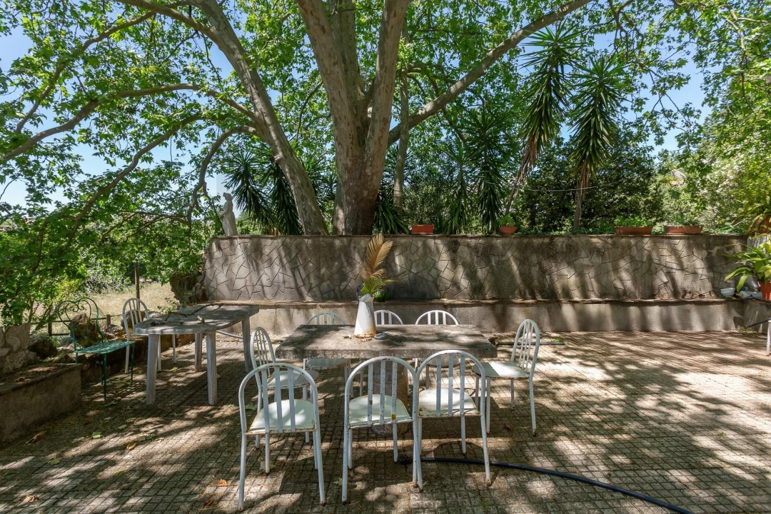 Quinta T12 para Venda em São Bras e São Lourenço Foto 58