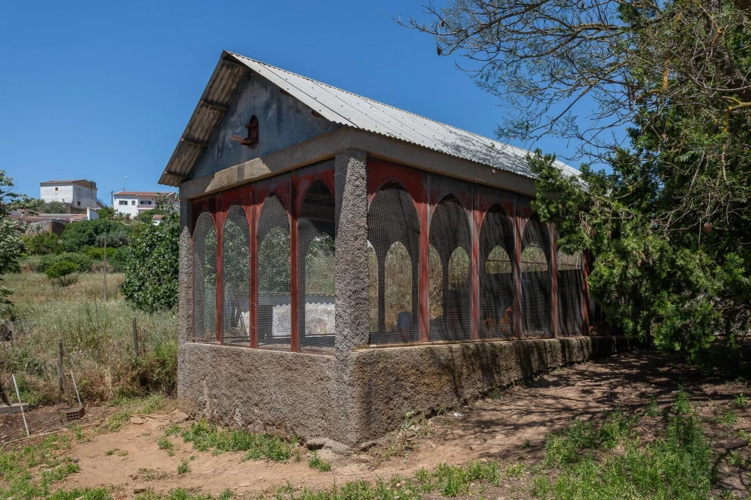 Quinta T12 para Venda em São Bras e São Lourenço Foto 63