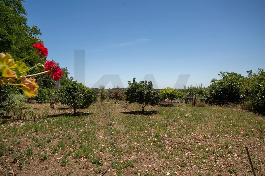 Quinta T12 para Venda em São Bras e São Lourenço Foto 48