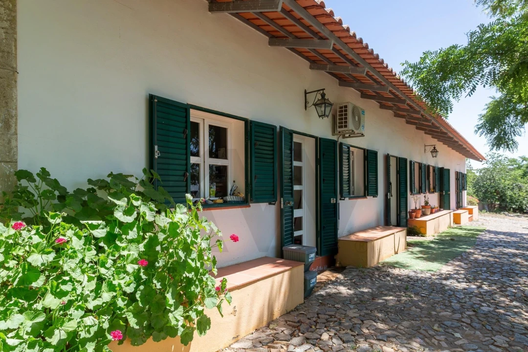 Quinta T12 para Venda em São Bras e São Lourenço Foto 64