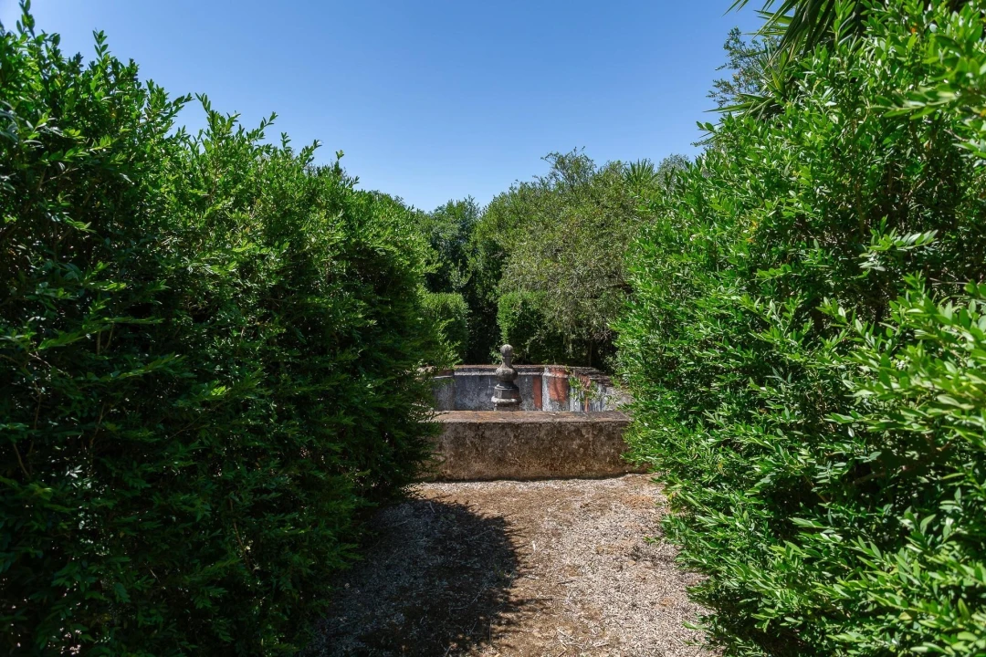 Quinta T12 para Venda em São Bras e São Lourenço Foto 77