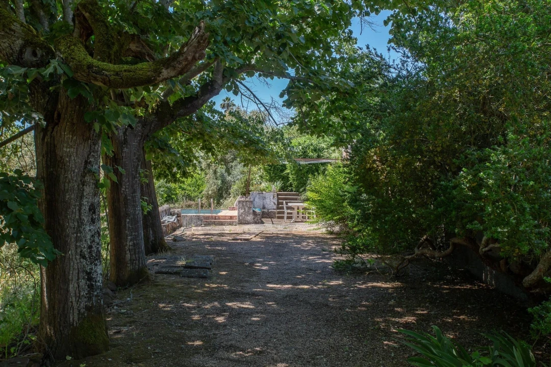 Quinta T12 para Venda em São Bras e São Lourenço Foto 68