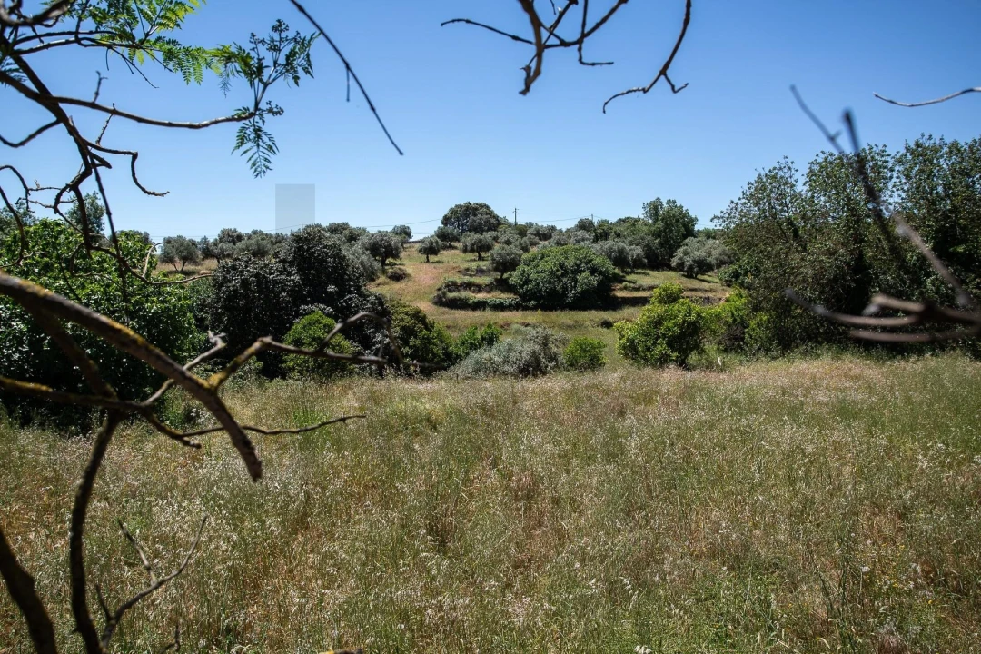 Quinta T12 para Venda em São Bras e São Lourenço Foto 67