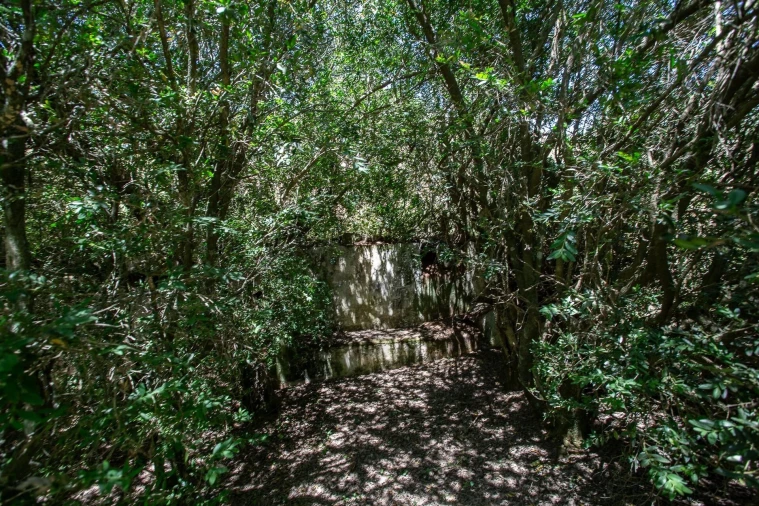 Quinta T12 para Venda em São Bras e São Lourenço Foto 87