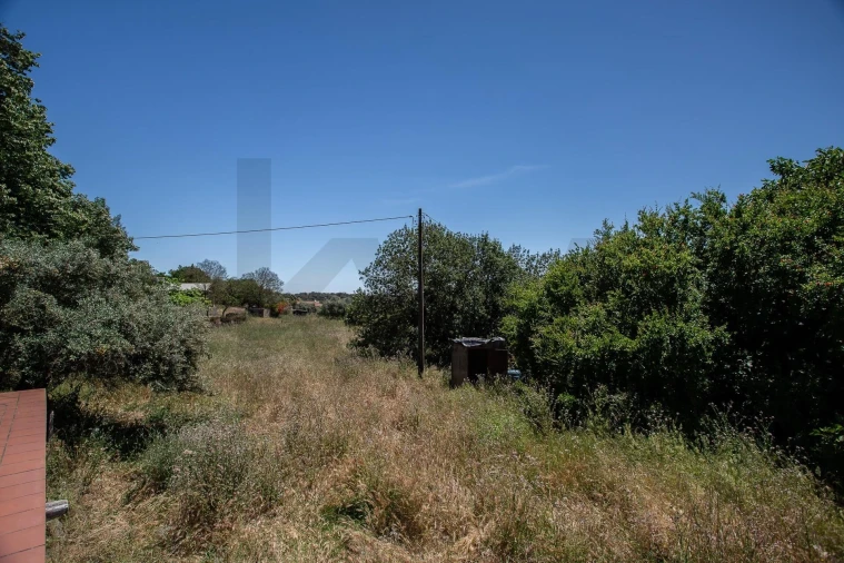 Quinta T12 para Venda em São Bras e São Lourenço Foto 80
