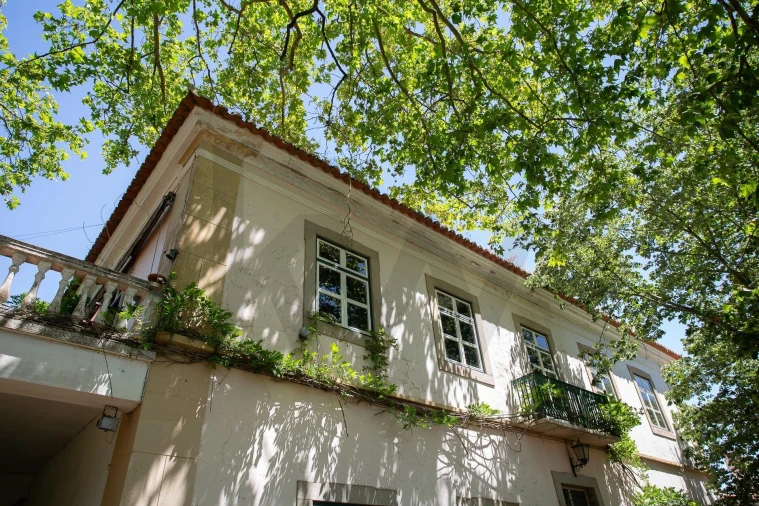 Quinta T12 para Venda em São Bras e São Lourenço Foto 6