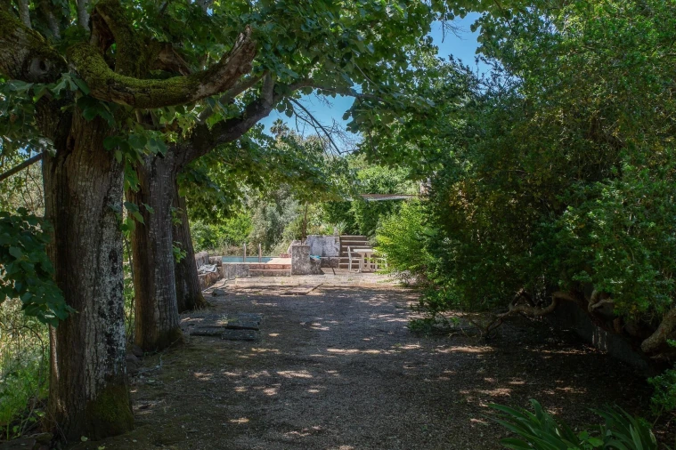Quinta T12 para Venda em São Bras e São Lourenço Foto 76