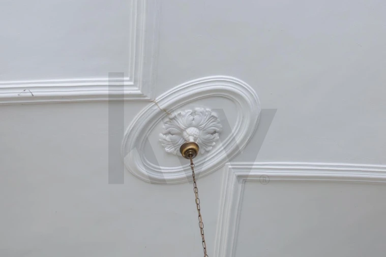 Quinta T12 para Venda em São Bras e São Lourenço Foto 32