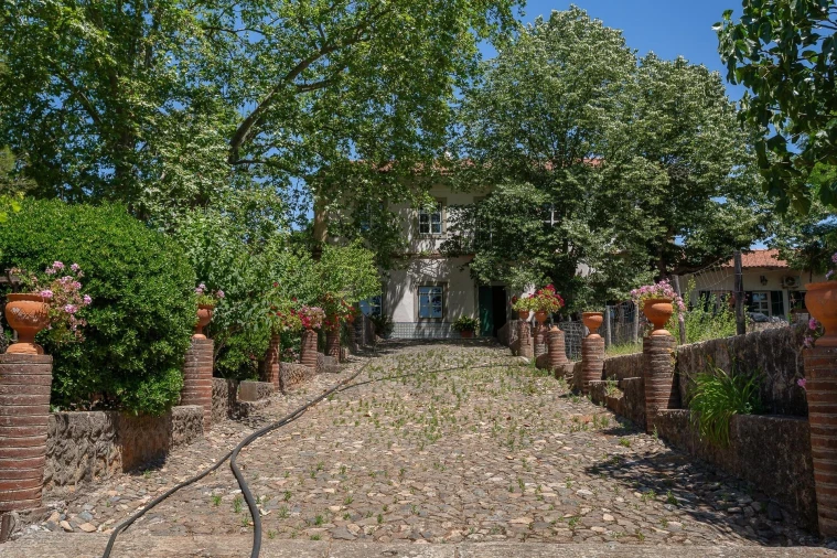 Quinta T12 para Venda em São Bras e São Lourenço Foto 68