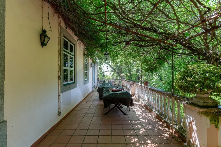 Quinta T12 para Venda em São Bras e São Lourenço Foto 61