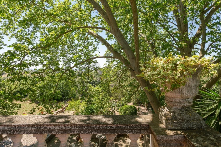 Quinta T12 para Venda em São Bras e São Lourenço Foto 60