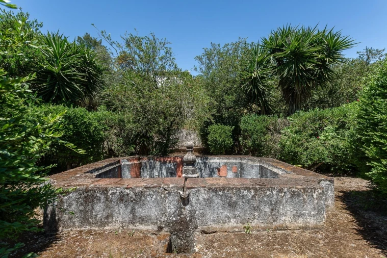 Quinta T12 para Venda em São Bras e São Lourenço Foto 86