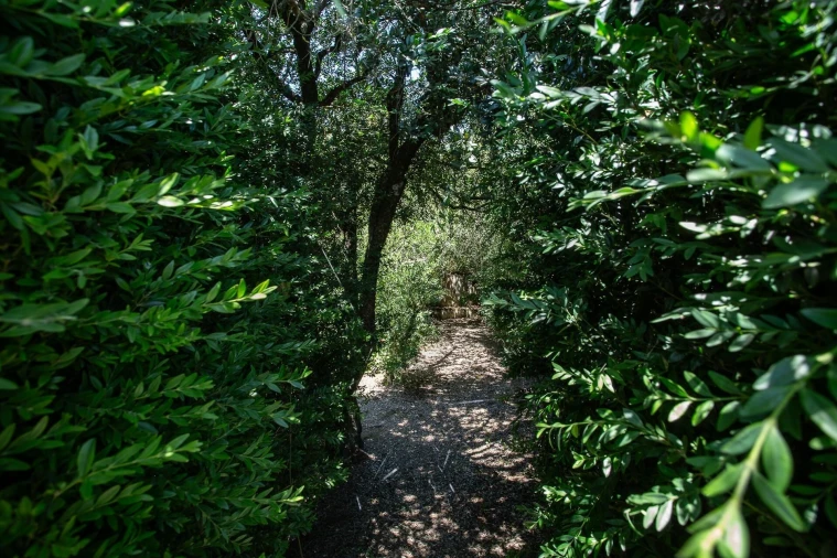 Quinta T12 para Venda em São Bras e São Lourenço Foto 83