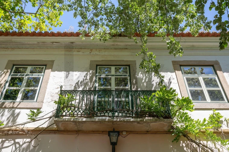 Quinta T12 para Venda em São Bras e São Lourenço Foto 35