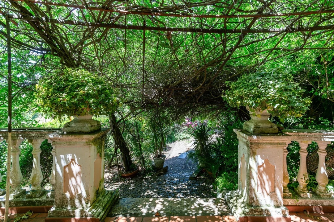 Quinta T12 para Venda em São Bras e São Lourenço Foto 12