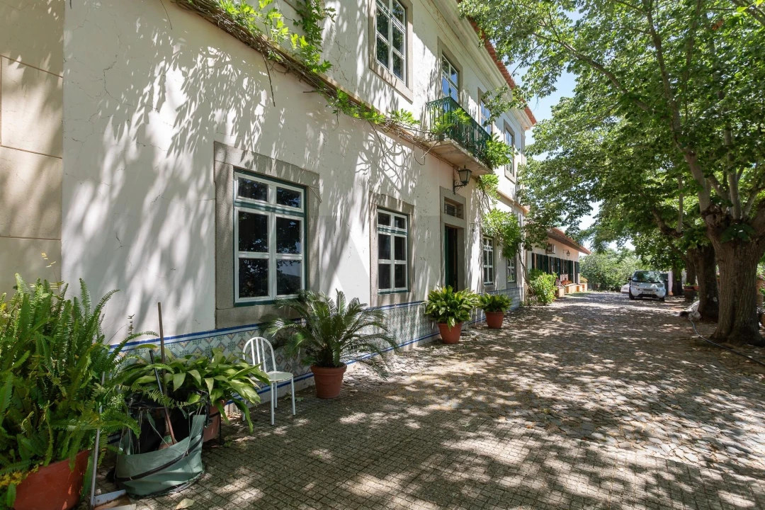 Quinta T12 para Venda em São Bras e São Lourenço Foto 2