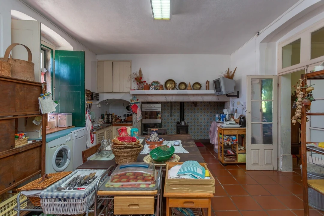 Quinta T12 para Venda em São Bras e São Lourenço Foto 54