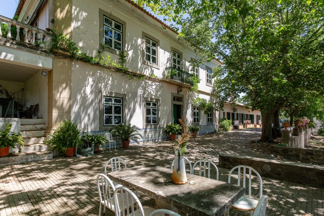 Quinta T12 para Venda em São Bras e São Lourenço Foto 3